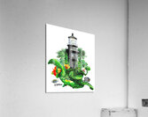 DFriel Hillsboro Lighthouse Turtle  Acrylic Print