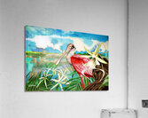 DFriel - Palm Aire Roseate Spoonbill  Acrylic Print
