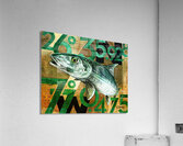 DFriel - Bonefish Coordinates  Acrylic Print