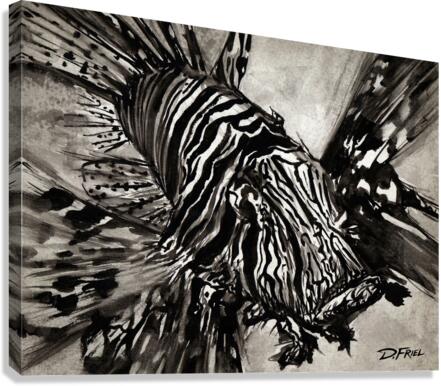 DFriel - Black Ink Lionfish  Canvas Print