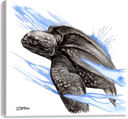 DFriel Leatherback  Canvas Print