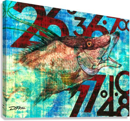 DFriel Hogfish Coordinates  Canvas Print