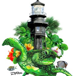 DFriel Hillsboro Lighthouse Turtle