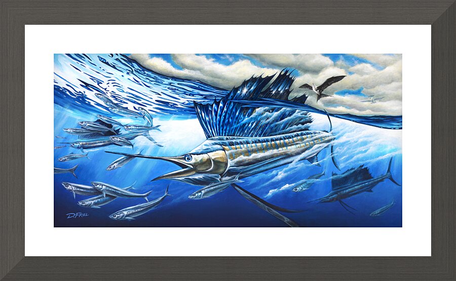  Atlantic Harmony Sailfish 1  Framed Print Print