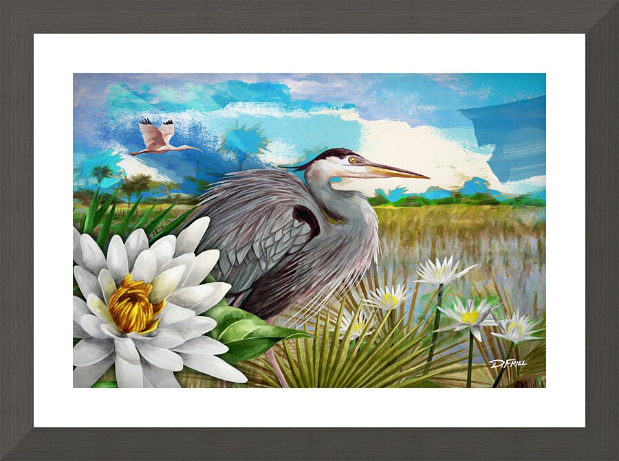 Palm Aire Heron   Framed Print Print
