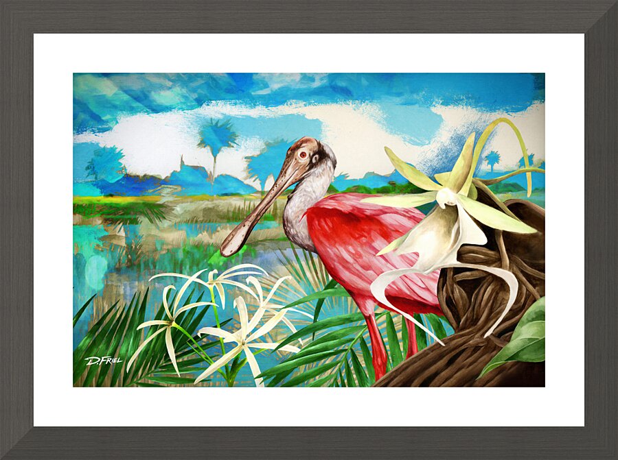 DFriel - Palm Aire Roseate Spoonbill  Framed Print Print