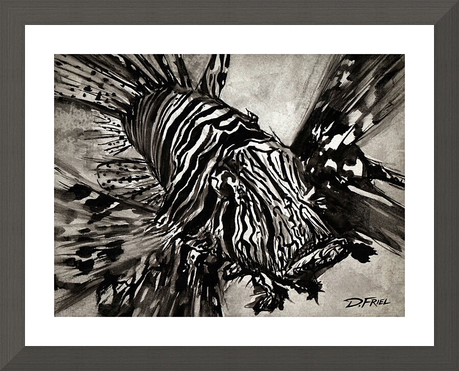 DFriel - Black Ink Lionfish  Framed Print Print