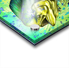 DFriel MahiMahi Decor Prints FINAL 1 Acrylic print
