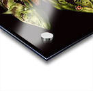 Tucanare Acrylic print