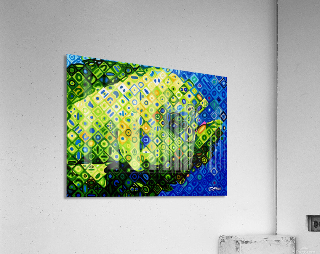 Closes Mahi Acrylic Print