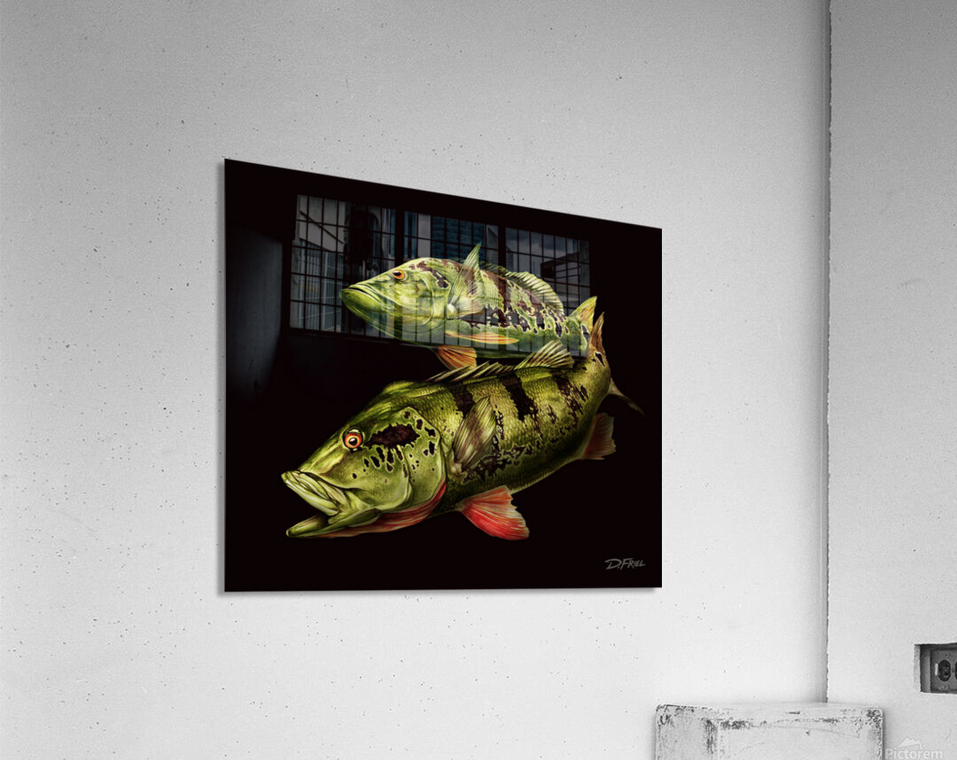 Tucanare Acrylic Print