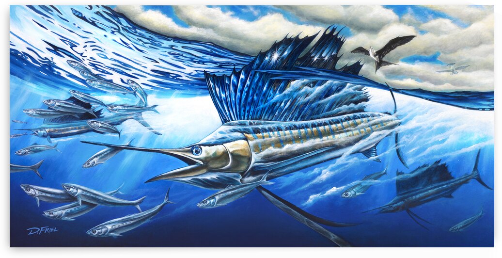  Atlantic Harmony Sailfish 1 by D Friel 