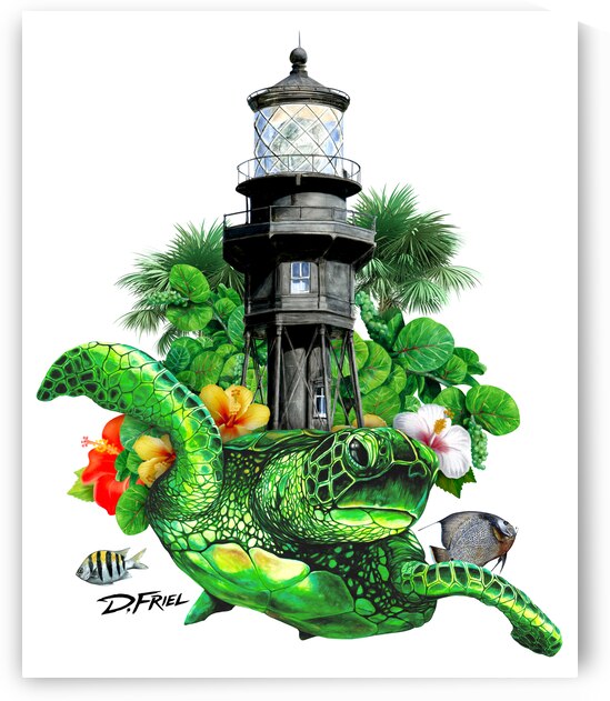 DFriel Hillsboro Lighthouse Turtle by D Friel 