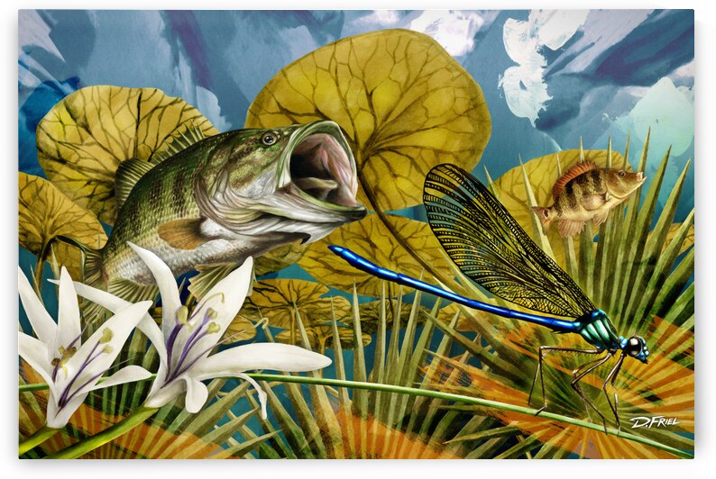 DFriel Palm Aire Dragonfly Bass by D Friel 