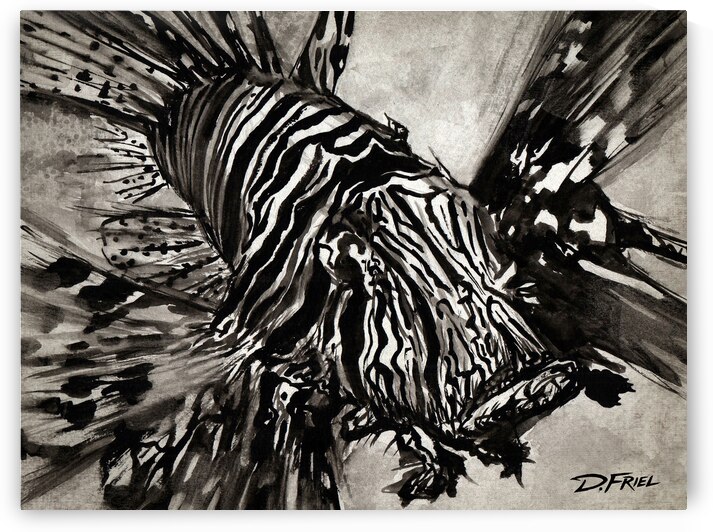 DFriel - Black Ink Lionfish by D Friel 