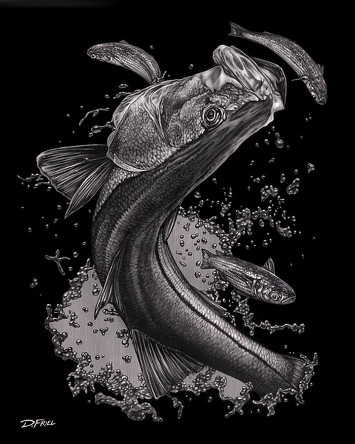 Silver Snook  Picture Frame Printing