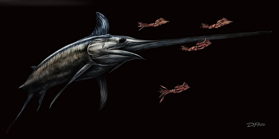 Black Cove Gladiator Picture Frame Printing