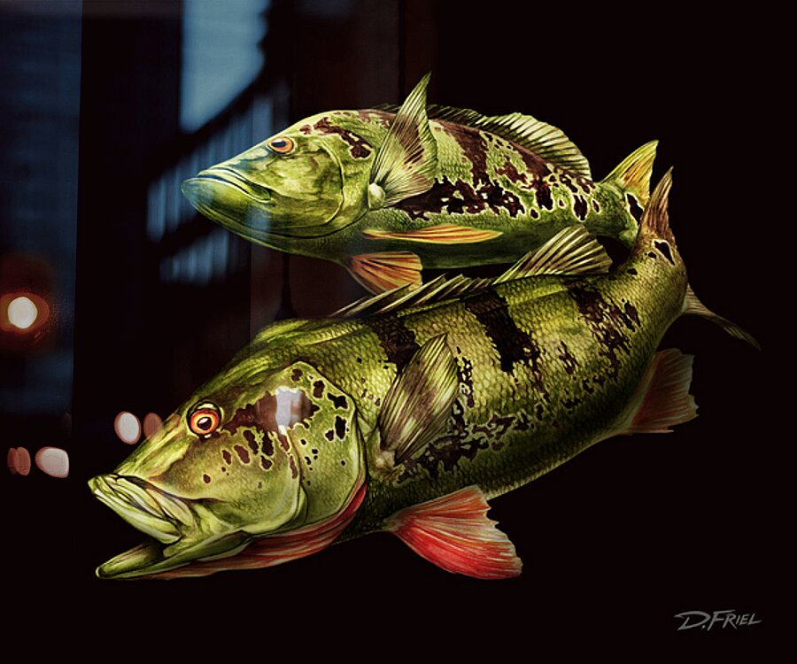 Tucanare Picture Frame Printing