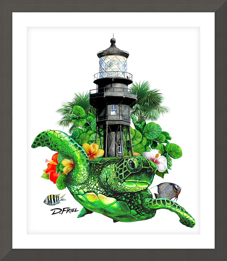 DFriel Hillsboro Lighthouse Turtle  Impression encadrée
