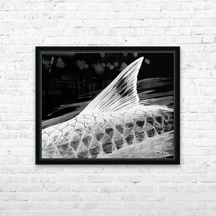 DFriel Converge Tarpon No3  HD Sublimation Metal print with Decorating Float Frame (BOX)