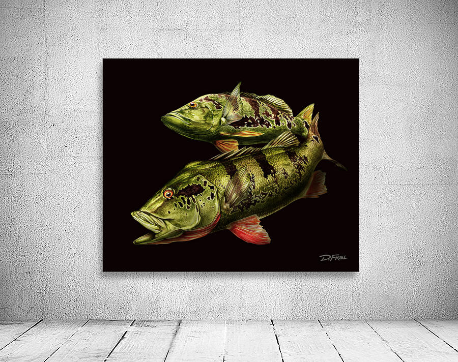 Tucanare Wall Preview